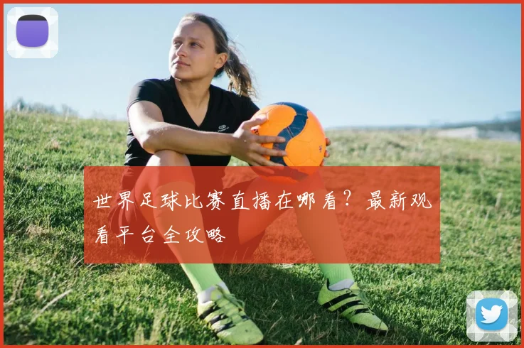 世界足球比赛直播在哪看？最新观看平台全攻略
