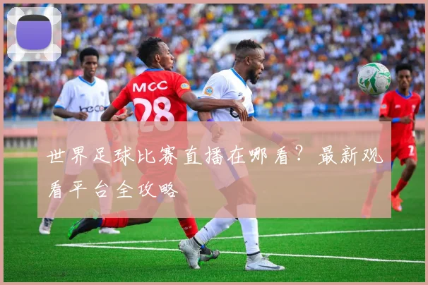 世界足球比赛直播在哪看?最新观看平台全攻略